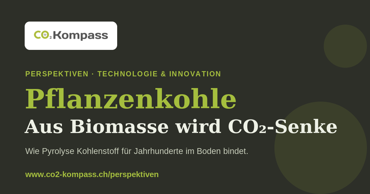 Pflanzenkohle: Aus Biomasse wird eine CO2-Senke